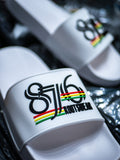 876ReggaeStripes 3D | Slides
